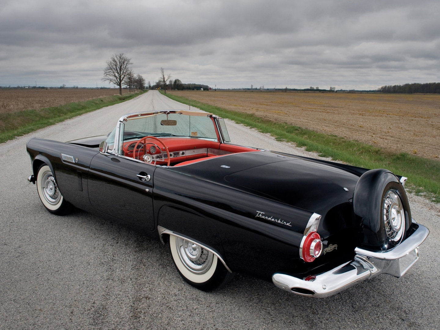 Ford Thunderbird: 10 фото